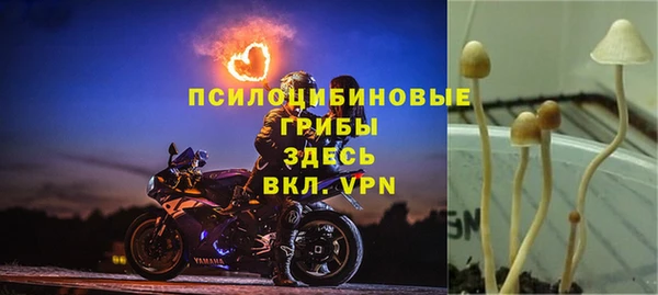 гидропоника Елизово