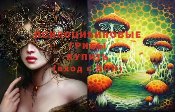 прущая мука Елабуга